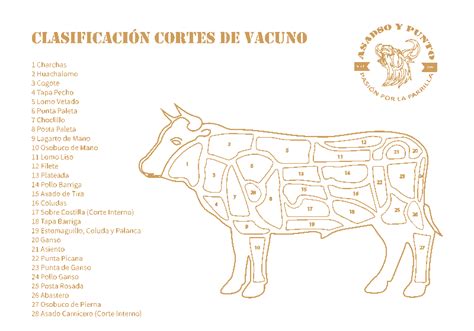 Esquema anatómico de los cortes del vacuno destacando la ubicación de la malaya