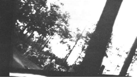 Una de las tres fotos clandestinas tomadas por una unidad de Sonderkommando muestra a mujeres judías corriendo hacia la cámara de gas después de desnudarse.