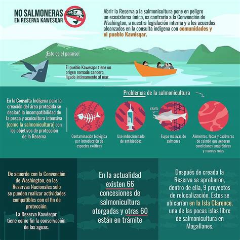 Infografía: Impacto ambiental de la salmonicultura en ríos y lagos
