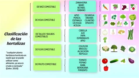 Infografía: Esquema de clasificación general de vegetales comestibles (frutas, verduras, hortalizas)