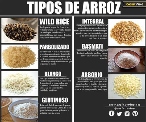infografía comparativa de los tipos de arroz para risotto