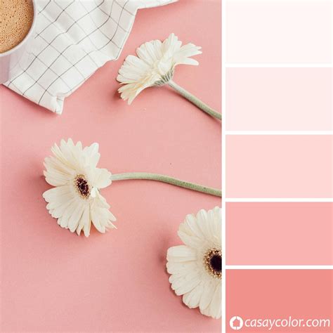 Infografía que muestra la paleta de colores tendencia, destacando el rosa pastel frente a otros tonos neutros.