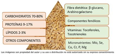 Grano de cebada y su composición nutricional.