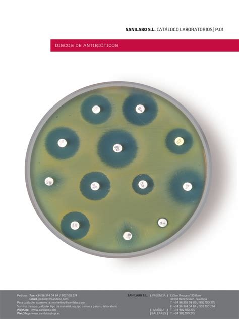 Disposición de discos de antibióticos sobre una placa de agar Mueller-Hinton sembrada.