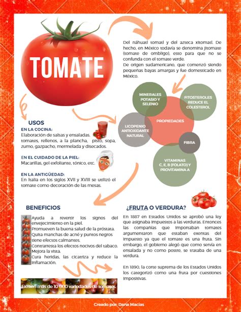 Infografía comparativa: Tomate natural vs. Tomate triturado para salsa de pizza