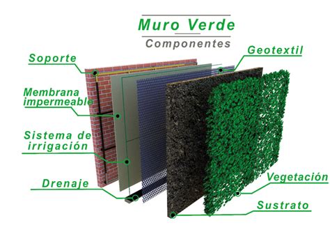 Diagrama comparativo de diferentes sistemas constructivos para muros verdes, mostrando sus componentes y funcionamiento.