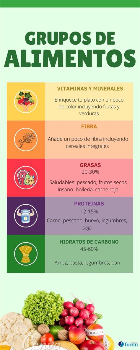 Esquema de los principales grupos de alimentos saludables integrados en un guiso: legumbres, verduras, hortalizas y proteínas magras.