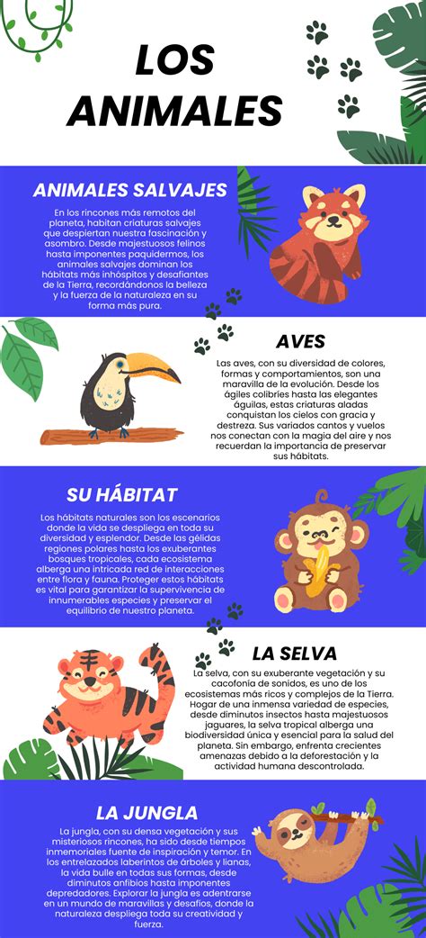Infografía comparativa de la forma y color de la papa meñarki con las deposiciones de un gato