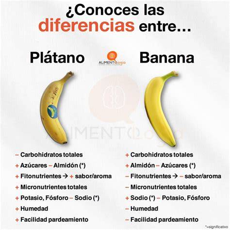 Comparación visual de plátano Cavendish y plátano macho