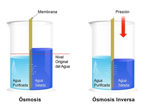 Gráfico comparativo de la eficacia de eliminación de sedimentos entre agua potable y agua purificada por ósmosis inversa