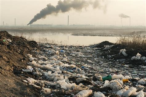 Representación de la contaminación del agua y el suelo debido a efluentes de feedlot
