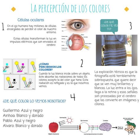 Infografía mostrando cómo el color influye en la percepción del sabor de los alimentos.