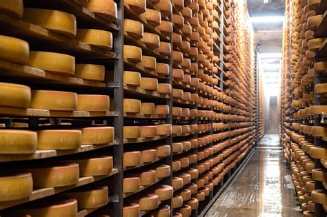 Esquema gráfico que muestra el proceso de maduración del queso Chanco bajo condiciones controladas de humedad y temperatura.