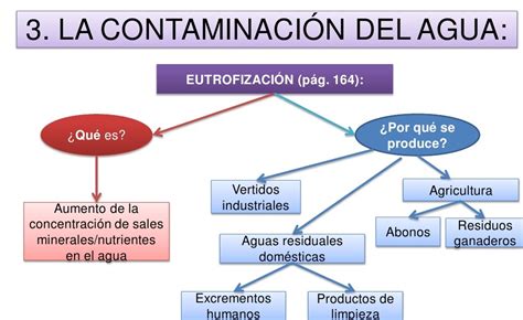 Esquema de la contaminación por plásticos y la alternativa de las burbujas de agua comestibles