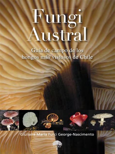 Ilustración de Giuliana Furci y portada del libro Fungi Austral
