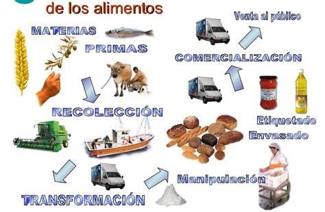 Esquema de las etapas industriales del procesamiento de alimentos: recepción, transformación, conservación y envasado