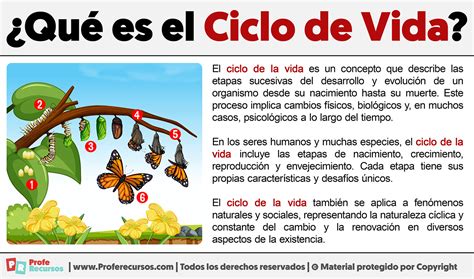 Infografía que detalla los usos productivos y el ciclo de vida de la quila en el bosque nativo