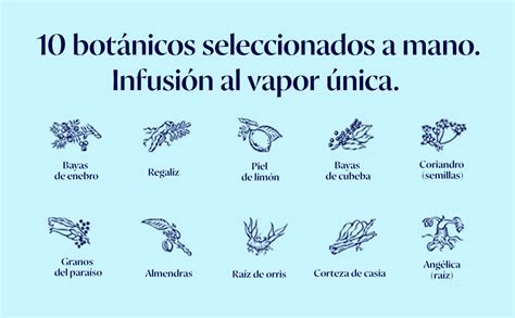 Infografía que muestra los 10 botánicos de Bombay Sapphire y el proceso de infusión al vapor en alambiques Carterhead