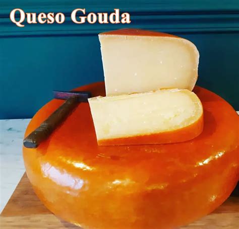 Esquema de las dimensiones y forma del queso Gouda