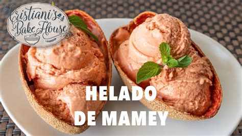 Helado de mamey sin lactosa