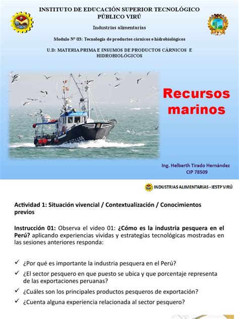 Fotografía de los recursos marinos incautados durante el operativo.