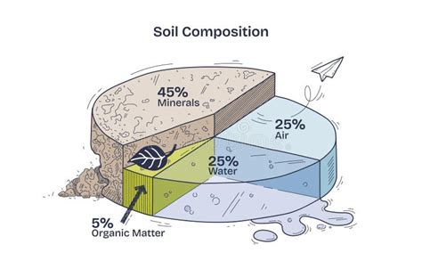 Infografía que muestra la composición ideal del suelo para el cultivo de hortalizas (aire, agua, minerales, materia orgánica).