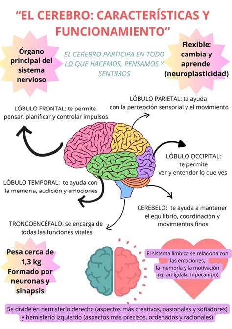 Infografía sobre los mensajes principales de la película