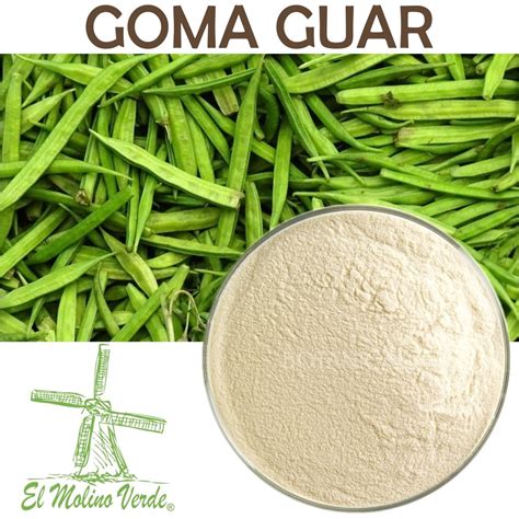 Esquema visual que muestra el origen vegetal de la goma guar a partir de la leguminosa Cyamopsis tetragonoloba.