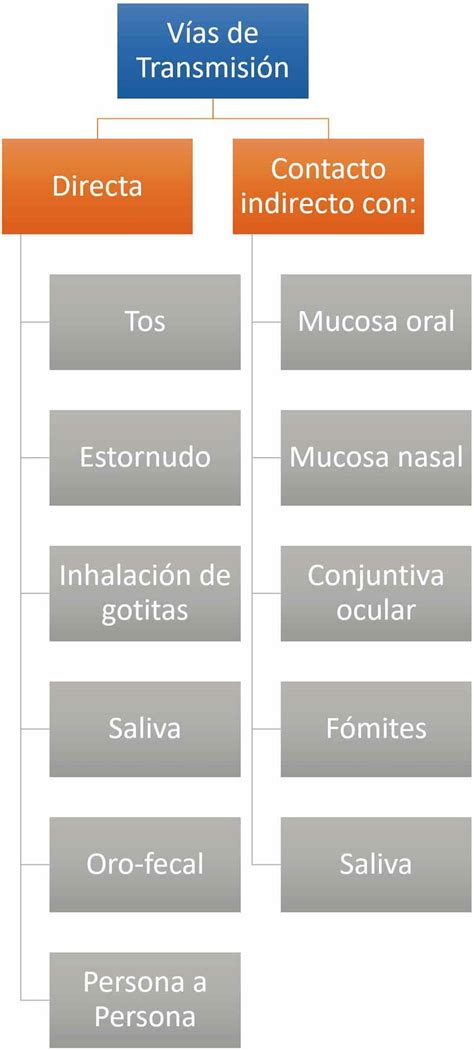 Diagrama de flujo ilustrando las diferentes vías de transmisión de patógenos alimentarios y los factores de riesgo asociados.