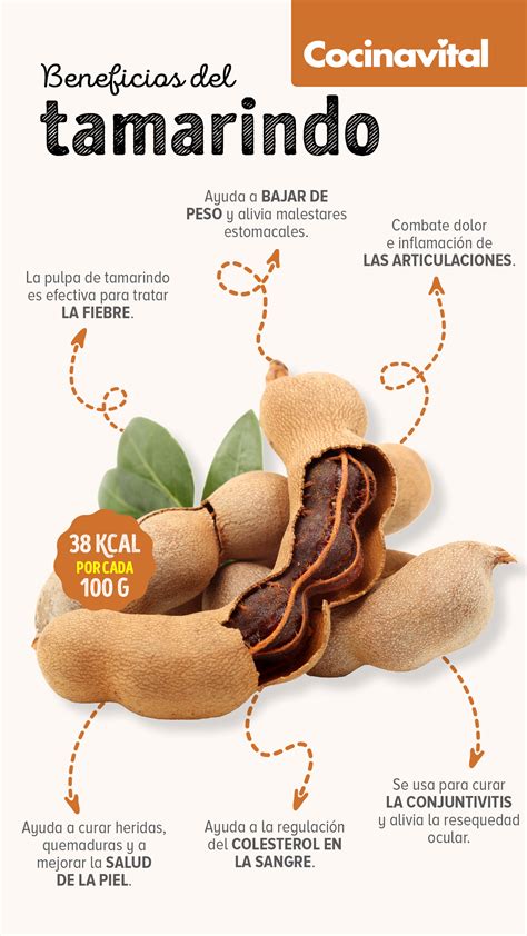 Esquema visual de los beneficios del tamarindo: digestión, metabolismo y antioxidantes