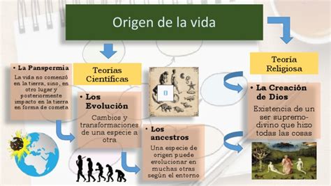 Diagrama que explica el origen etimológico de 