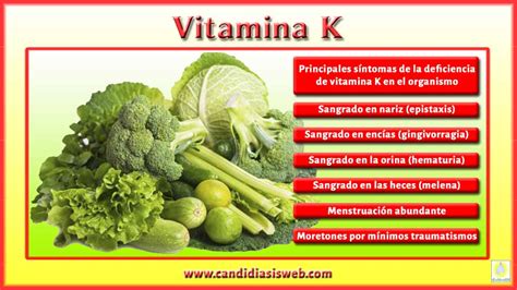 Esquema de la función de la vitamina K en el fortalecimiento de los huesos