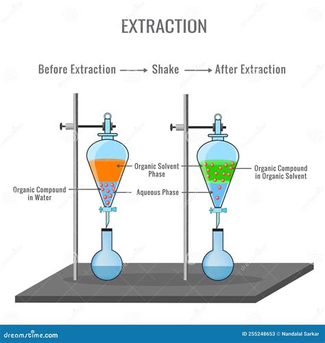 Infografía detallando el proceso de extracción de tintura de pétalos de flores, incluyendo ingredientes y pasos.