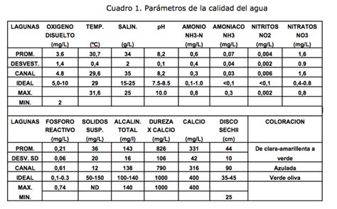 Infografía mostrando los parámetros de agua ideales para el mantenimiento de Caridina cantonensis.