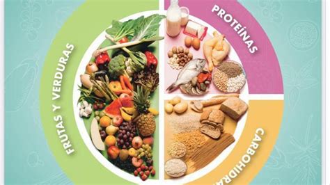 Plato equilibrado que muestra la proporción de verduras, proteínas e hidratos de carbono
