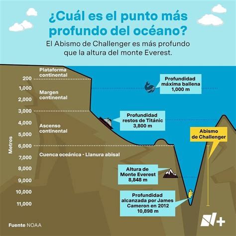Esquema del perfil biológico y profundidad de la merluza austral en las corrientes del Pacífico
