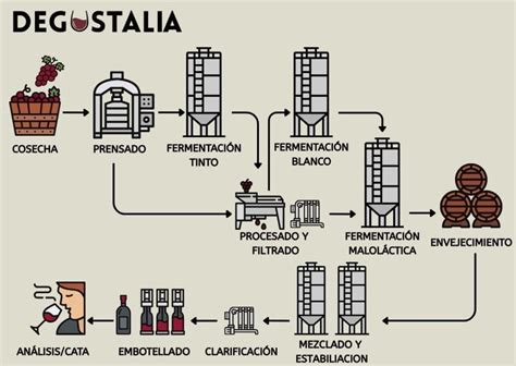 Proceso de elaboración del biscuit de nueces de Macadamia