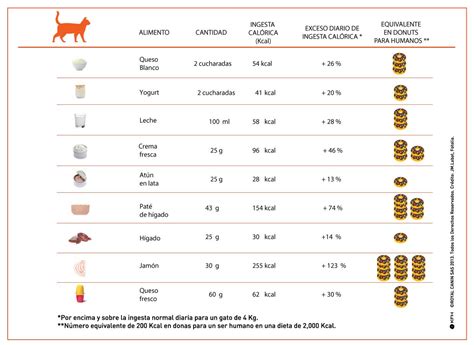 Tabla nutricional de alimentos aptos para gatos