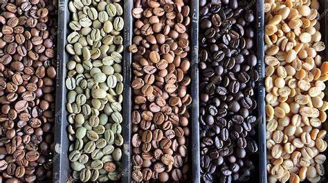 Granos de café tostado en una tolva para café