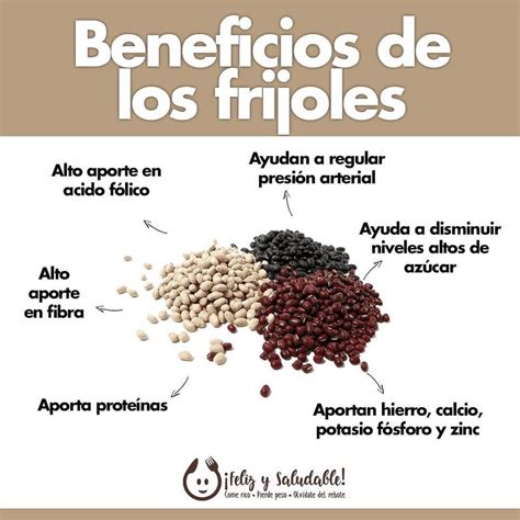 Infografía sobre los nutrientes y beneficios del frijol y maíz en la dieta mexicana.