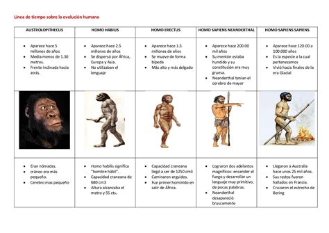 Esquema visual que muestra la evolución del Berliner original hacia sus variantes internacionales (Bola de Berlim, bolas de fraile, bombas).