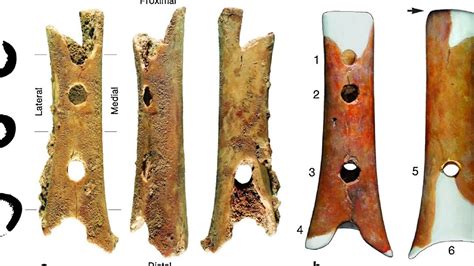 Representación de las flautas más antiguas encontradas