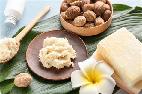 Mantequilla de karité en un recipiente con nueces de karité