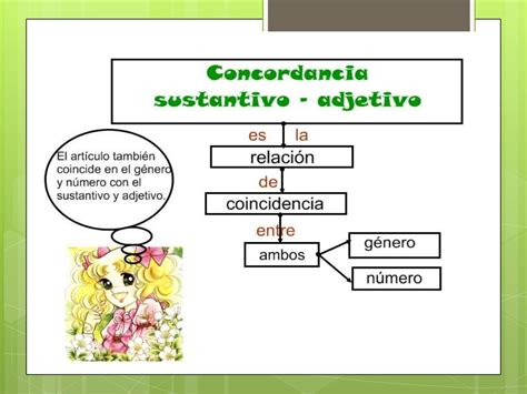 Esquema comparativo de la concordancia del adjetivo antepuesto y pospuesto al sustantivo, con ejemplos claros.
