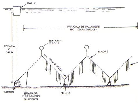 Diagrama comparativo entre un aparejo de palangre y un aparejo de chambel, mostrando sus estructuras y disposición.