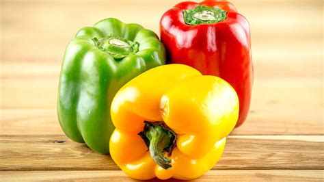 Ilustración de diferentes tipos y colores de pimientos (rojo, verde, amarillo, morrón, italiano, picante)