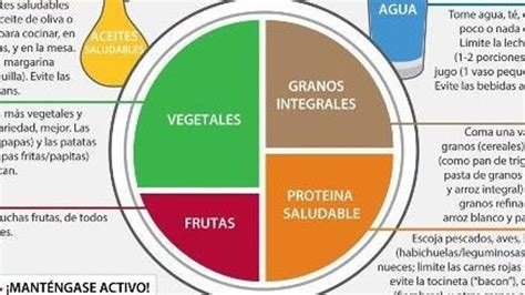 Infografía sobre el Plato de Harvard mostrando las proporciones de diferentes grupos de alimentos