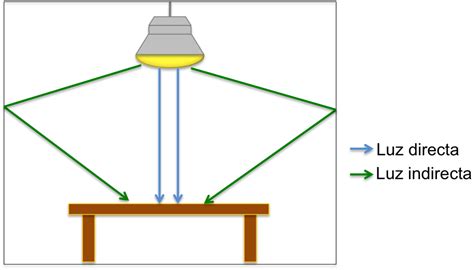 Diagrama mostrando diferentes niveles de luz: luz directa, luz indirecta brillante, sombra parcial, sombra total, con ejemplos de plantas.