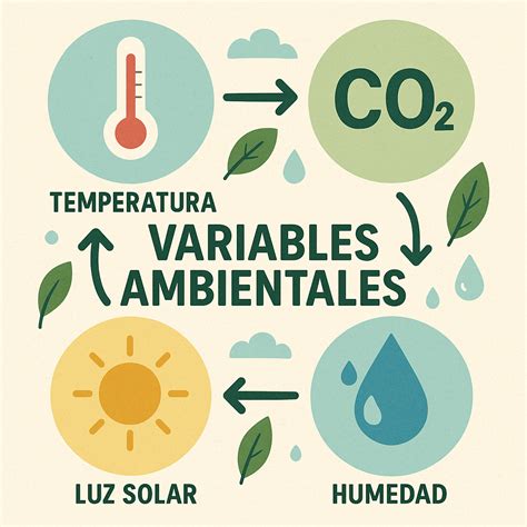 Esquema sobre la interacción de variables ambientales (temperatura, radiación, nutrientes) que originan eventos de FAN y bajas de oxígeno en centros de cultivo