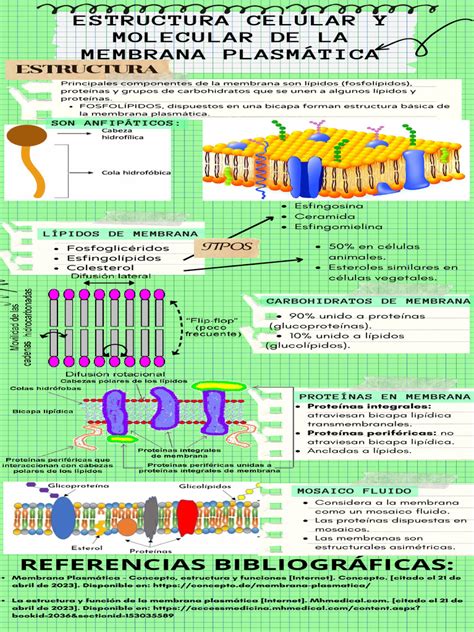 Infografía sobre la estructura molecular de la mousse y sus ingredientes clave
